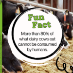 Dairy Fun Fact - Discover Dairy